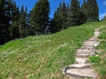 High Divide trail with stone steps & avalanche lilies